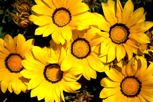 608684 (a): :4000x2660